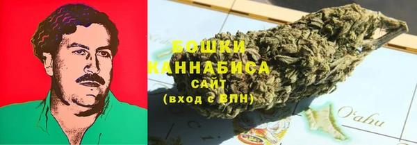 гидра Аркадак