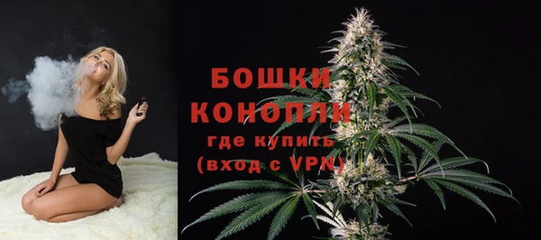 гидра Аркадак