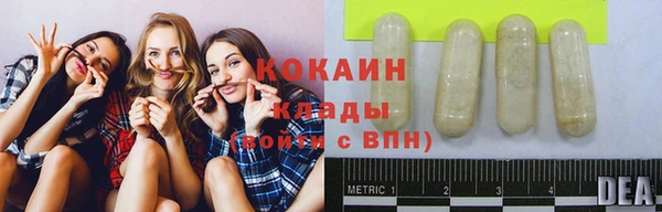 гидра Аркадак