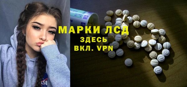 гидра Аркадак