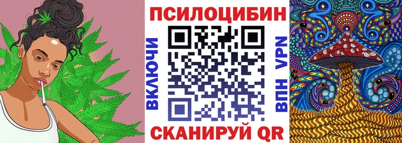 Псилоцибиновые грибы Magic Shrooms  kraken ССЫЛКА  сайты даркнета формула  Севск 